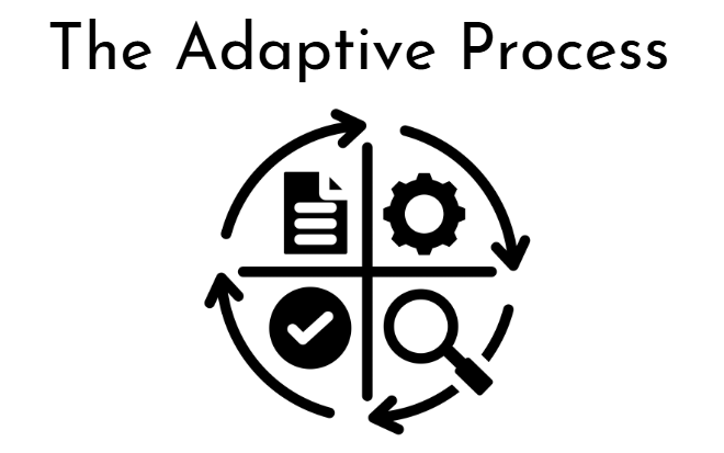 adaptive process adaptive process