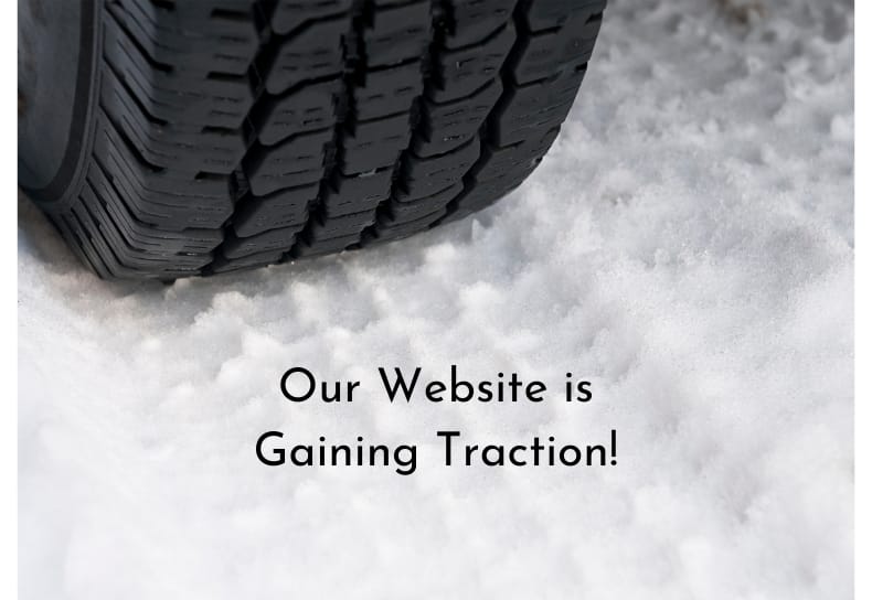 Our Website is Gaining Traction